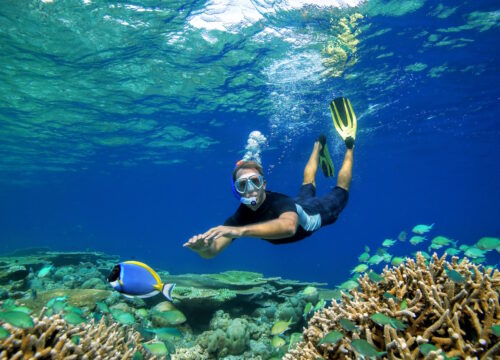 Abu Dabbab Schnorchel Ausflug aus Hurghada