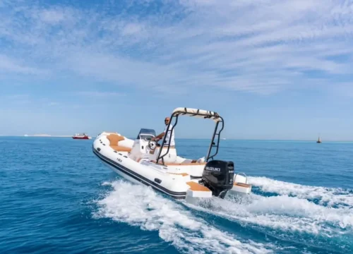 Delfin Ausflug mit privatem Speedboot & Schnorcheln aus Hurghada