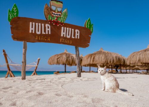 Hula Hula Insel Schnorchel aus Hurghada