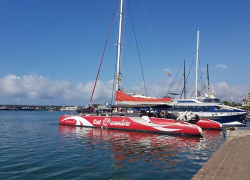 Ocean Diva Katamaran El Gouna (Delfinhaus)