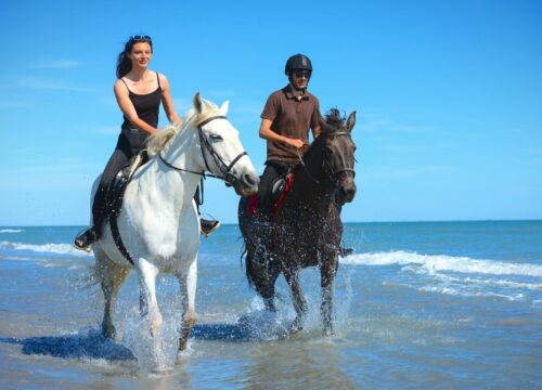 Rotes Meer & Wüste Reittour mit Schwimmen 1 oder 2 Stunden aus Hurghada