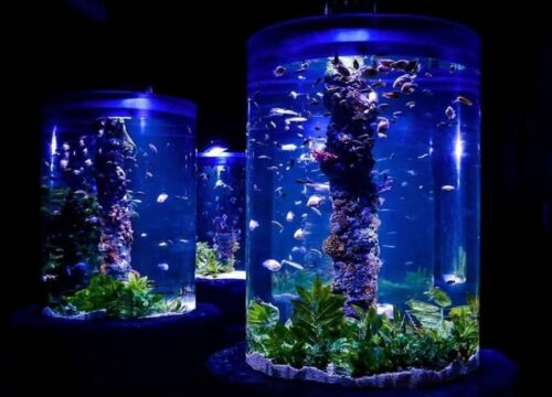 Grand Aquarium mit privater transfer aus Hurghada